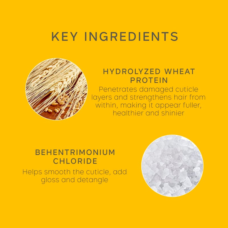 PHILIP KINGSLEY | Body Building Weightless Conditioner | Volumizing Conditioner for Fine, Limp, Flat, Flyaway Short Hair | Hydrates, Thickens, Lifts and Adds Volume and Shine | 6.76oz - Image 5