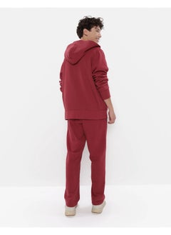 American Eagle AE Graphic Zip-Up Hoodie  - Image 4
