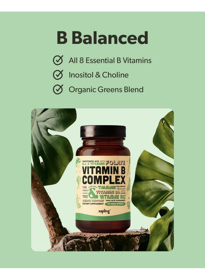 sapling sapling Vegan Vitamin B Complex - Whole Food Blend with Essential B Vitamins B1, B2, B3, B5, B6, B7, Folate, B12-60 Caps  - Image 2