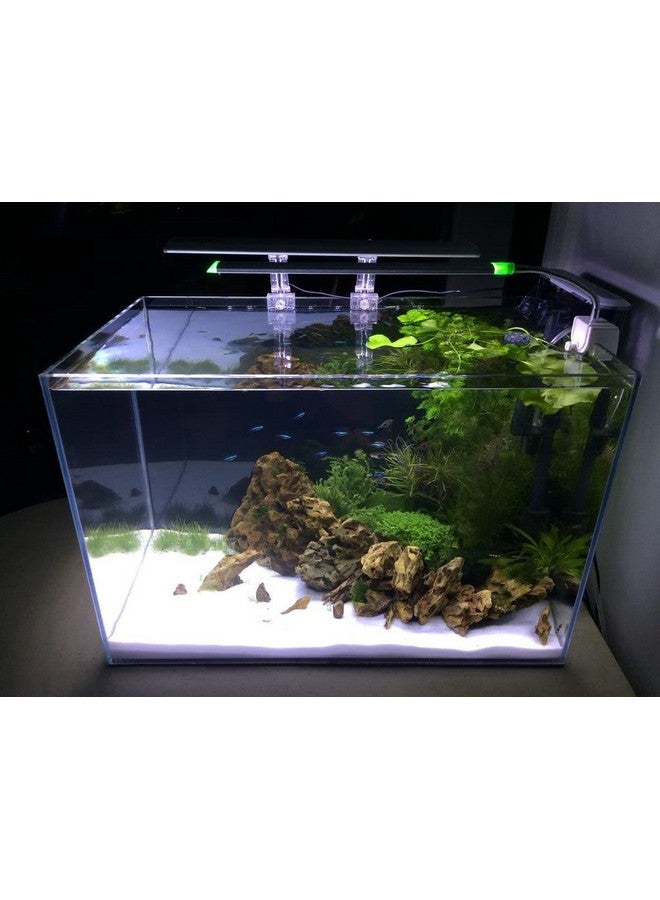 2.5 كجم من حصى رمل السكر الأبيض لتزيين حوض السمك | إنشاء منظر مائي مثالي باستخدام رمل السكر بواسطة Petzlifeworld - Image 2