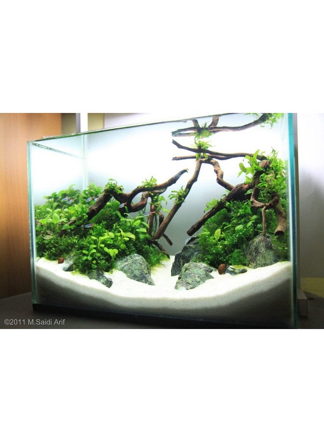 2.5 كجم من حصى رمل السكر الأبيض لتزيين حوض السمك | إنشاء منظر مائي مثالي باستخدام رمل السكر بواسطة Petzlifeworld - Image 3