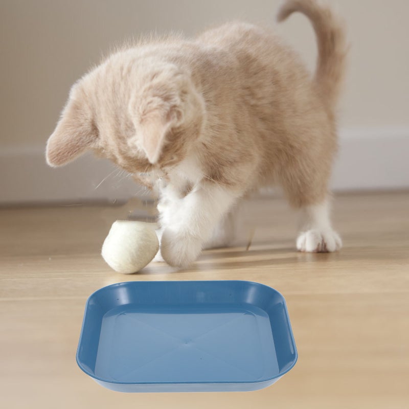 1 set of Cat Bowl Feeding Bowl Cat Plate Small Pet Feeding Bowl Cat Flat Feeding Dish Shallow Feeding Bowl for Cats Flat Feeding Bowl - Image 5