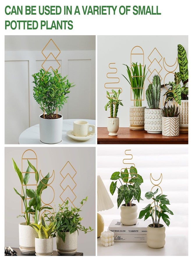 Wellsign Indoor Plant Trellis for Potted Plants, 16inch Gold Small Trellis for Climbing Plants Outdoor Garden Metal Trellis with Different Patterns for Vine Ivy Flower Plant Support 4 Pack - Image 2
