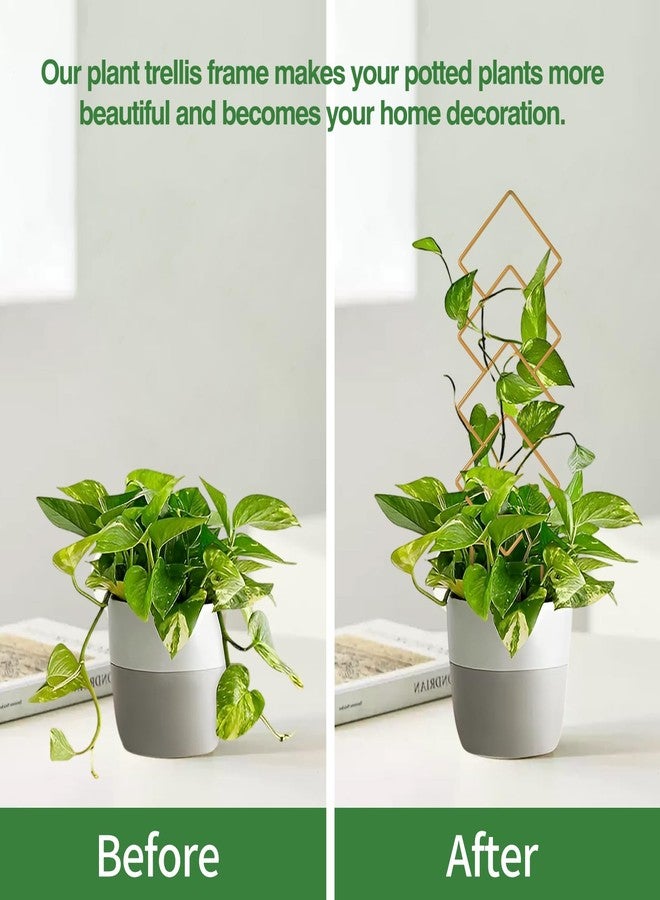 Wellsign Indoor Plant Trellis for Potted Plants, 16inch Gold Small Trellis for Climbing Plants Outdoor Garden Metal Trellis with Different Patterns for Vine Ivy Flower Plant Support 4 Pack - Image 4