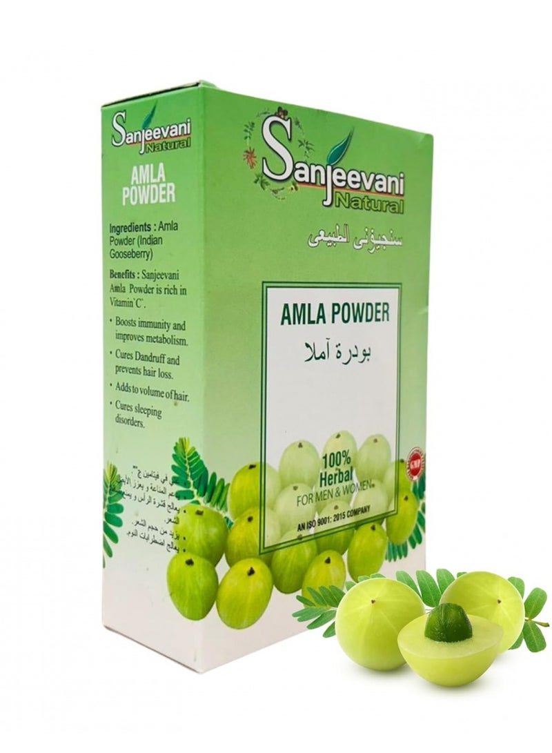 Sanjeevani Natural Amla powder 100gm - Image 1