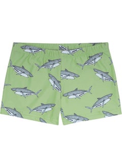 Slipstop Berko Mint Trunk Boy's Swimsuit 
