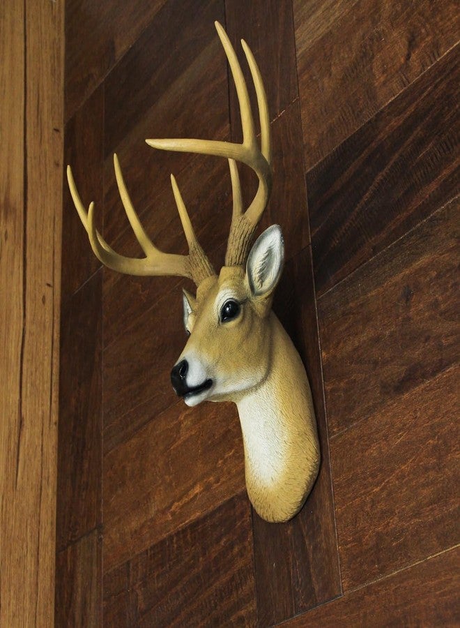 HD 8 Point Buck Wall Mounted Fake Deer Head - Faux Taxidermy Antler Animal Sculpture - 13 Inch High Resin Fall Dining Room Decor and Rustic Cabin Decoration - Image 5