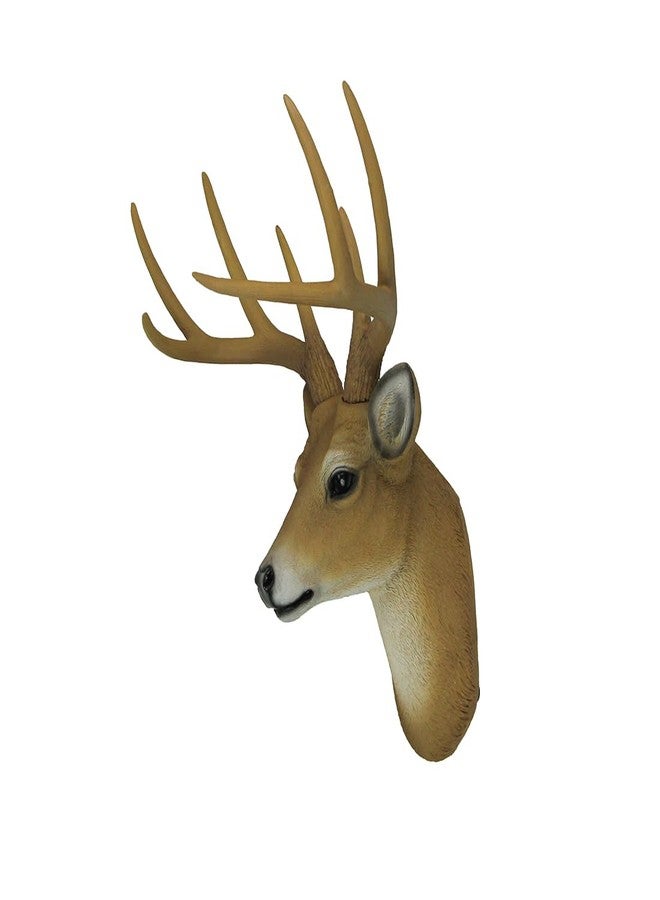 HD 8 Point Buck Wall Mounted Fake Deer Head - Faux Taxidermy Antler Animal Sculpture - 13 Inch High Resin Fall Dining Room Decor and Rustic Cabin Decoration - Image 3