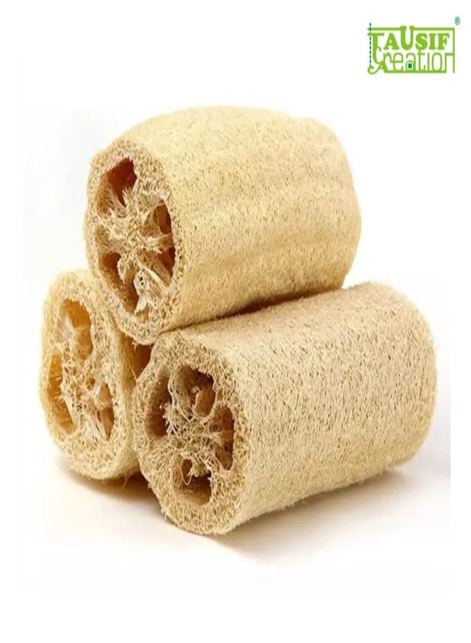 Tausif Creation عبوة من قطعتين من ليفة الجسم الطبيعية الجديدة من TAUSIF CREATION® (إسفنجة ليفة). - Image 4