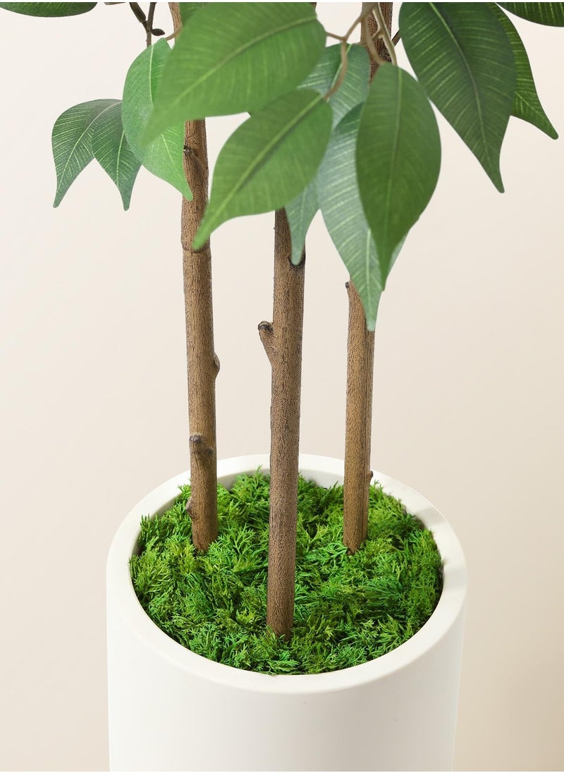 Arabest Ficus Artificial Tree 5ft Tall Fake Ficus Tree for Home Decor Indoor Faux Silk Ficus Plant Fake Floor Plant in White Imitation Ceramic Planter with Green Fake Moss, Set of 1  - Image 5