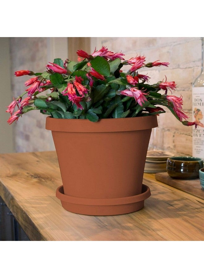 Bloem Fiskars Weather Resistant Plastic Planter Saucer Tray Terracotta 12inch 20-51012C - Image 2