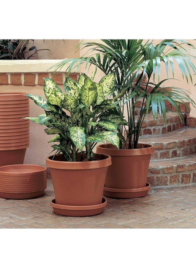Bloem Fiskars Weather Resistant Plastic Planter Saucer Tray Terracotta 12inch 20-51012C - Image 3