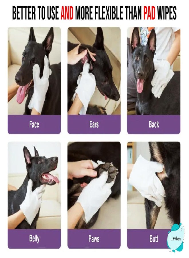 Litvibes Pet Waterless Wipes Glove,Dogs & Cats Cleaning Antibacterial Shampoo Infused Disposable Cleaning Tool,Grooming,Bathing & Dry Deep Cleansing,Non-Alcoholic,Lick & Skin Friendly - 6 Wipe Gloves - Image 4