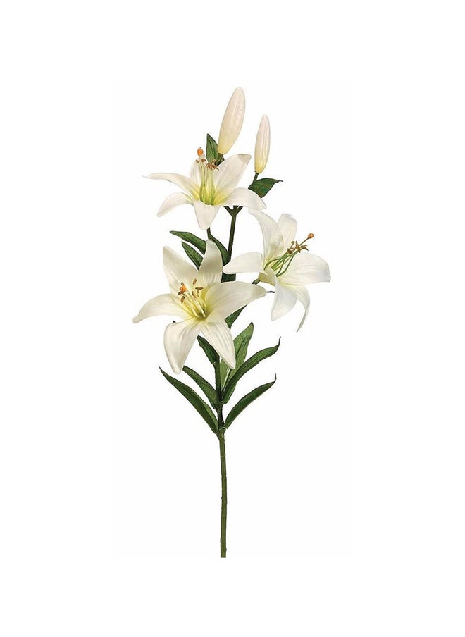 Generic Large Branched flower White 
