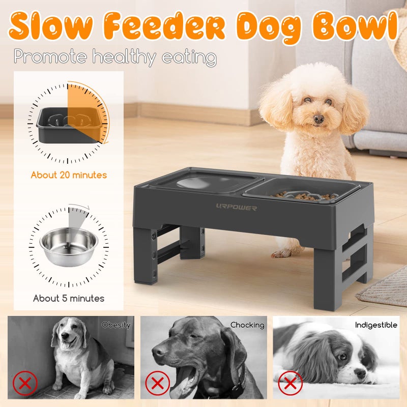 URPOWER 2-in-1 Elevated Slow Feeder Dog Bowls with No-Spill Water Bowl, 4 Height-Adjustable Raised Dog Bowls, Non-Slip Food and Water Bowls with Stand for Small, Medium, Large Dogs, Cats and Pets - Image 4