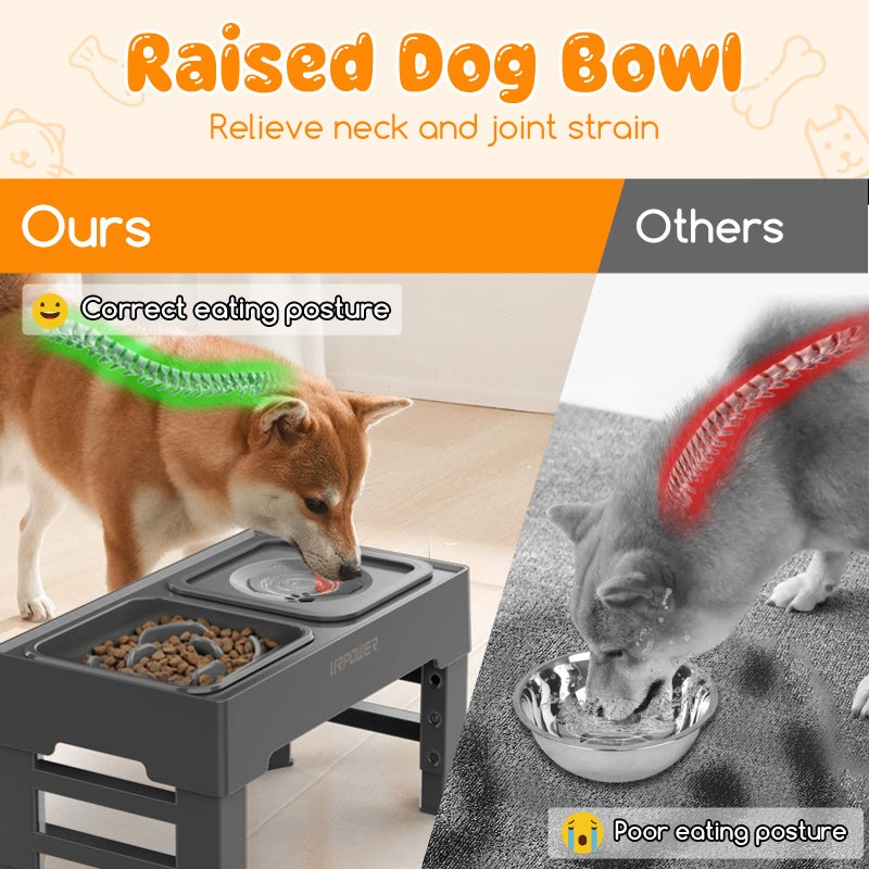 URPOWER 2-in-1 Elevated Slow Feeder Dog Bowls with No-Spill Water Bowl, 4 Height-Adjustable Raised Dog Bowls, Non-Slip Food and Water Bowls with Stand for Small, Medium, Large Dogs, Cats and Pets - Image 3