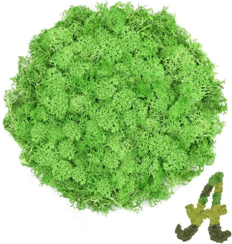 TCYPUHL 3.5 OZ Green Reindeer Moss, Preserved Moss for Plants, Moss Decor, Green Moss for Crafts, Moss for Potted Plants, Craft Decorative Moss Decor, Dried Moss - Image 1