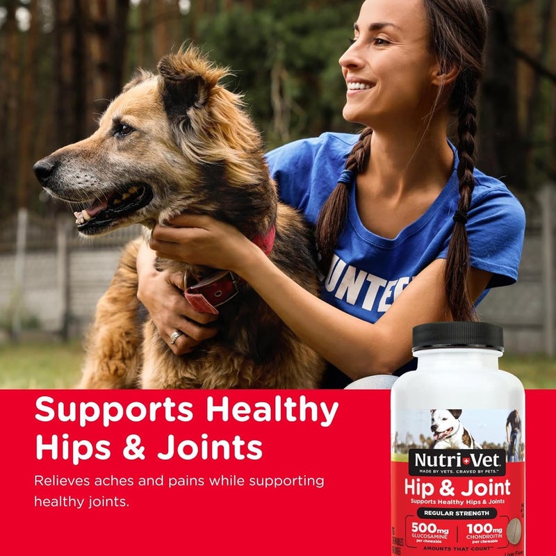 nutri vet Nutri-Vet Hip & Joint Regular Strength Chewable Tablets for Dogs - 75 Count - Image 2