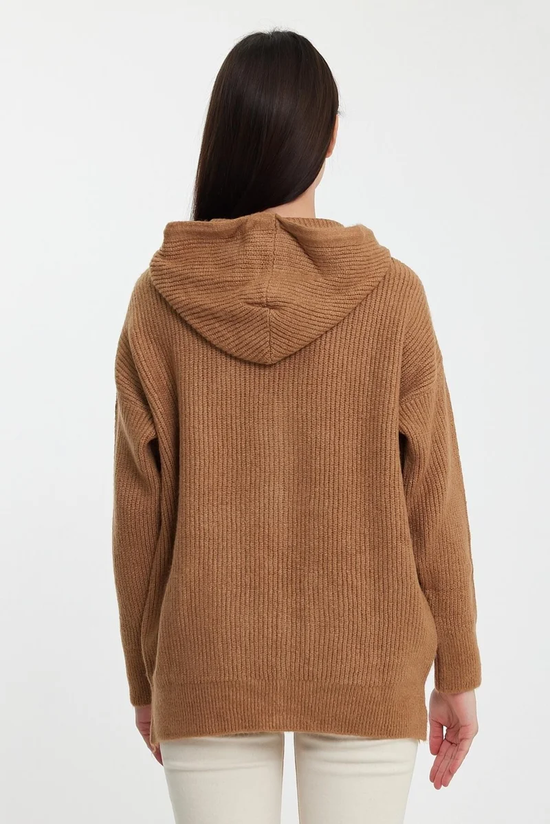 Alexander Gardi Hooded Zippered Knitwear CARDIGAN(A92409-S)