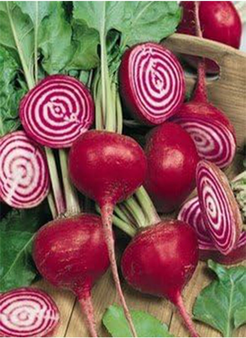 GGOOT Beet Chioggia Great Heirloom Vegetable by  300 Seeds  - Image 1