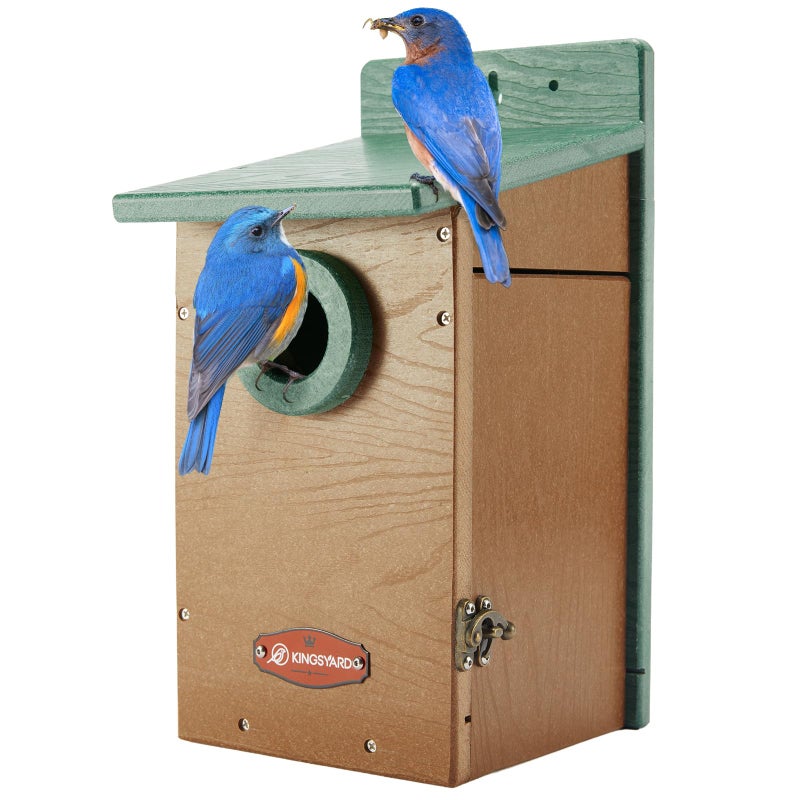 Kingsyard Recycled Plastic Bird House for Outdoor - Durable Nesting Box with Clear View Panel & Predator Guard for Bluebird Wren Swallow Finch, Green & Brown - Image 1