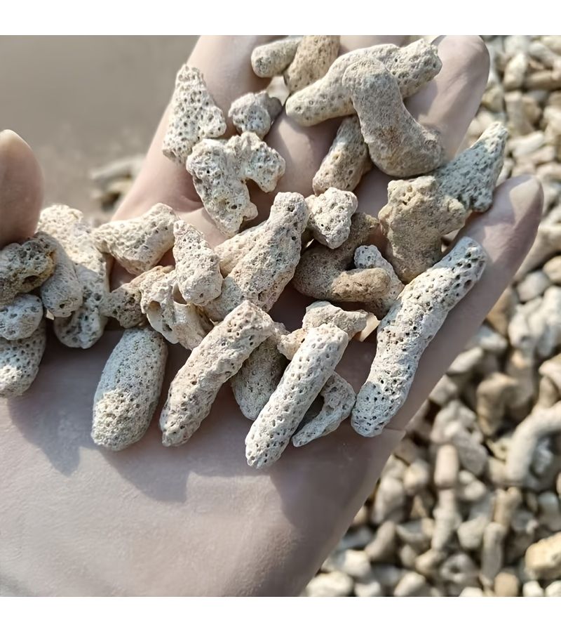 مواد فلتر حوض السمك من عظام المرجان 160 جرام حصى حجر المرجان للزينة لتنسيق الأحواض المائية إزالة الكلور توازن درجة الحموضة زراعة فعالة للبكتيريا وهضمها - Image 4