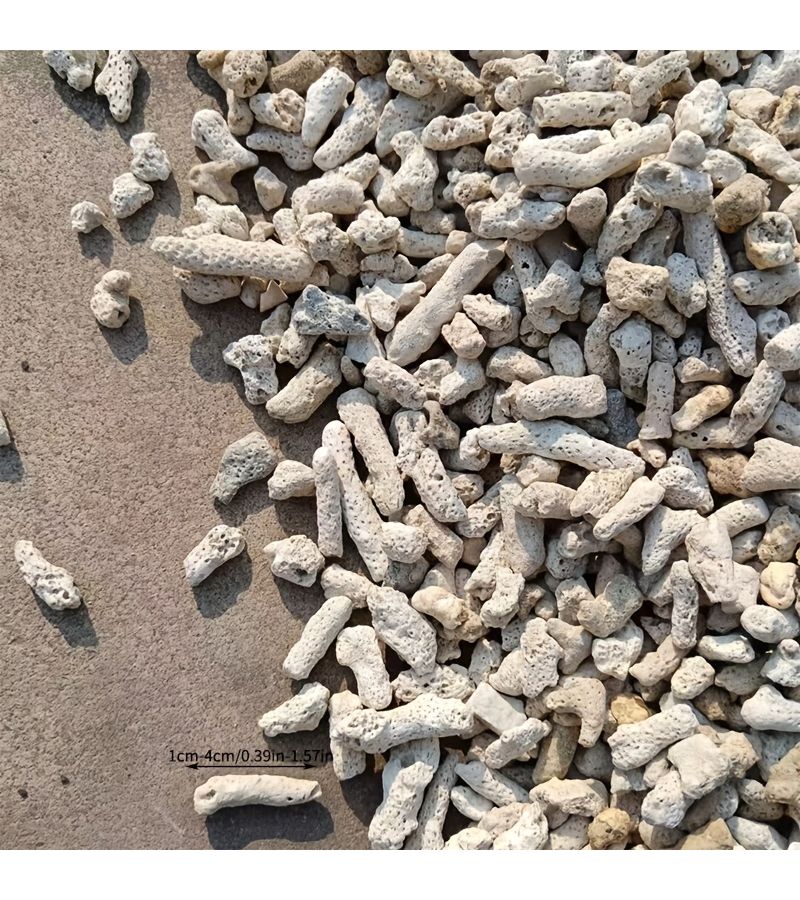 مواد فلتر حوض السمك من عظام المرجان 160 جرام حصى حجر المرجان للزينة لتنسيق الأحواض المائية إزالة الكلور توازن درجة الحموضة زراعة فعالة للبكتيريا وهضمها - Image 2
