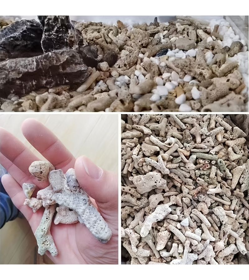 مواد فلتر حوض السمك من عظام المرجان 160 جرام حصى حجر المرجان للزينة لتنسيق الأحواض المائية إزالة الكلور توازن درجة الحموضة زراعة فعالة للبكتيريا وهضمها - Image 3