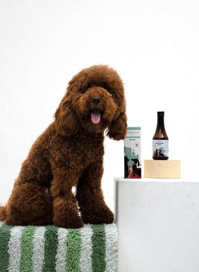 The Wouff Multivitamin Syrup for Dogs - 200ml | Chicken Flavour | Daily Nutrition Boost for Immunity, Energy & Overall Wellness | Vet-Approved Pet Supplement - Image 3