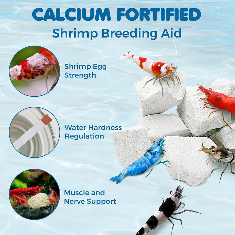 SunGrow Shrimp Rocks for Aquarium, 4-oz. Calcium Stones for Freshwater Aquarium Calcium Rocks for Snails, Recreate Shrimp Habitat, Feeder Discs for Crabs & Crayfish, Snail Tank Accessories - Image 3