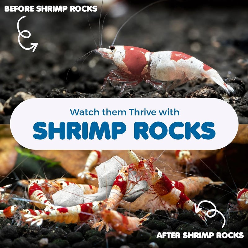 SunGrow Shrimp Rocks for Aquarium, 4-oz. Calcium Stones for Freshwater Aquarium Calcium Rocks for Snails, Recreate Shrimp Habitat, Feeder Discs for Crabs & Crayfish, Snail Tank Accessories - Image 4