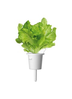 CLICK AND GROW 3Piece Edible Green Lettuce Plant Pod Set SGR32X3  - Image 2