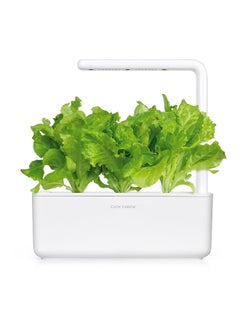 CLICK AND GROW 3Piece Edible Green Lettuce Plant Pod Set SGR32X3  - Image 4