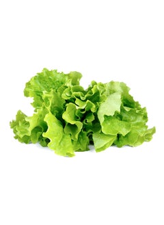 CLICK AND GROW 3Piece Edible Green Lettuce Plant Pod Set SGR32X3  - Image 3