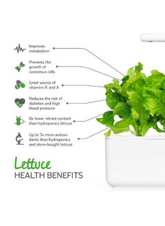 CLICK AND GROW 3Piece Edible Green Lettuce Plant Pod Set SGR32X3  - Image 5