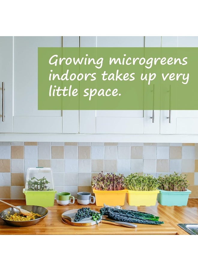Generic 4 pcs Microgreen Growing Tray  Sprouting Tray  - Image 5