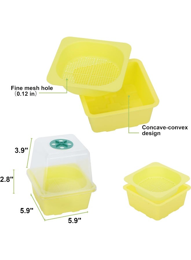 Generic 4 pcs Microgreen Growing Tray  Sprouting Tray  - Image 1