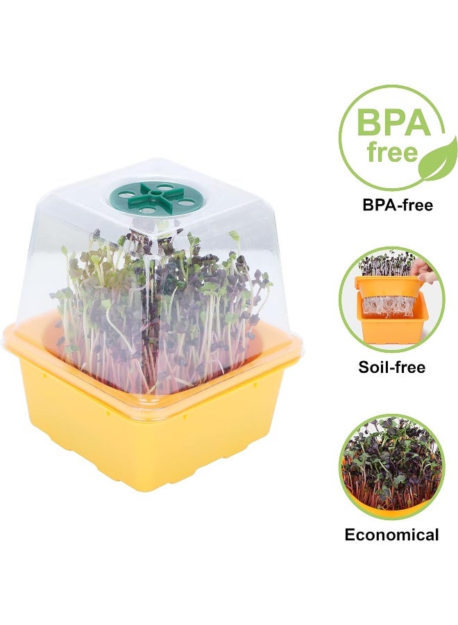 Generic 4 pcs Microgreen Growing Tray  Sprouting Tray  - Image 4