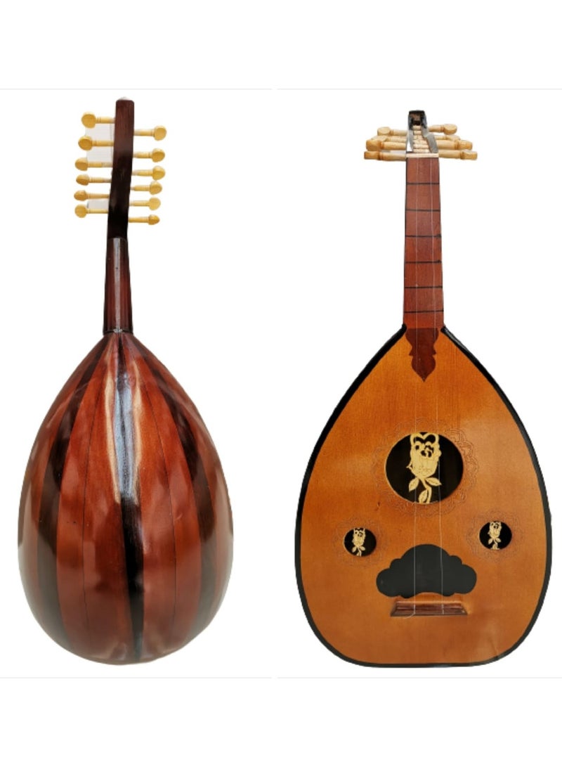 Generic Excellent musical oud and playing  - Image 1