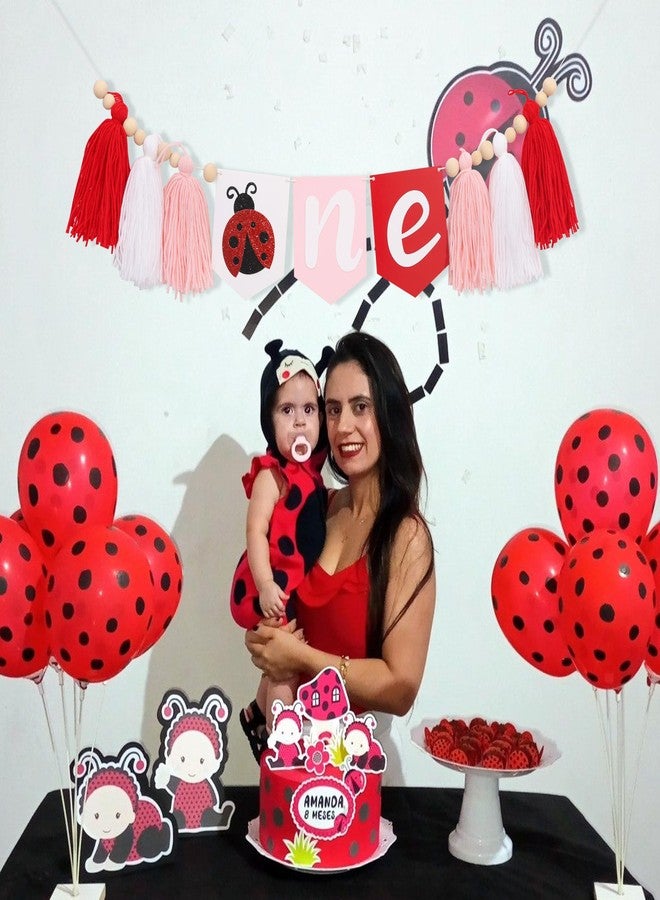 UOAOU Ladybug One High Chair Tassel Banner - Ladybug 1st Birthday Party Decorations, Insect Theme High Chair Banner, Pink Red White Tassel Birthday Decorations, Insect Photo Props Party Supplies - Image 3