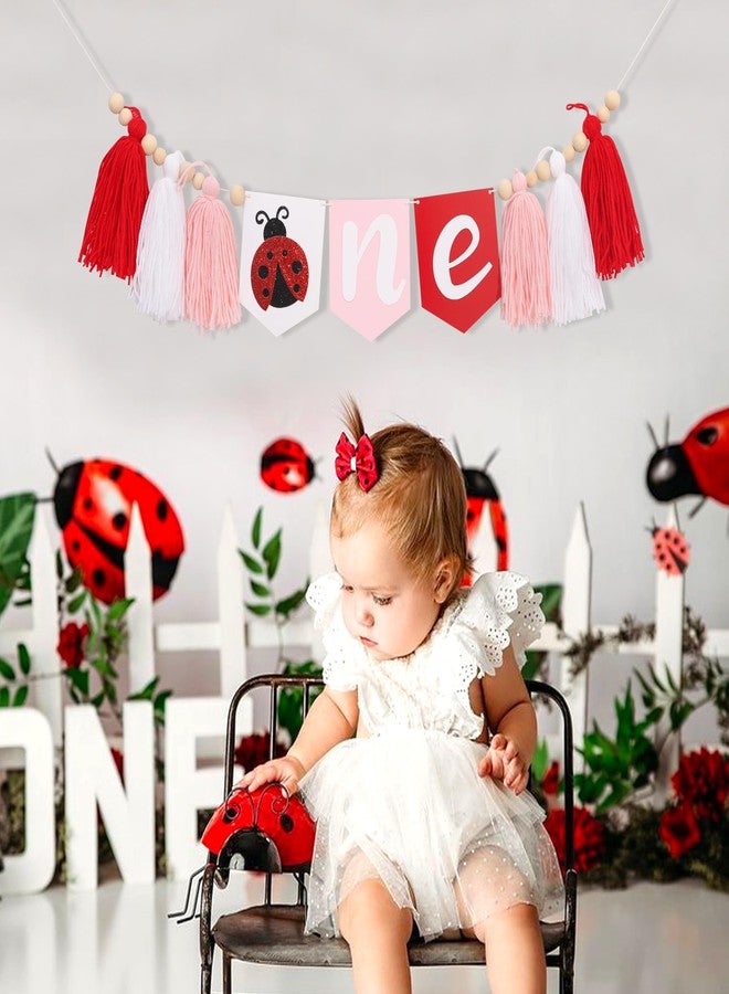 UOAOU Ladybug One High Chair Tassel Banner - Ladybug 1st Birthday Party Decorations, Insect Theme High Chair Banner, Pink Red White Tassel Birthday Decorations, Insect Photo Props Party Supplies - Image 4