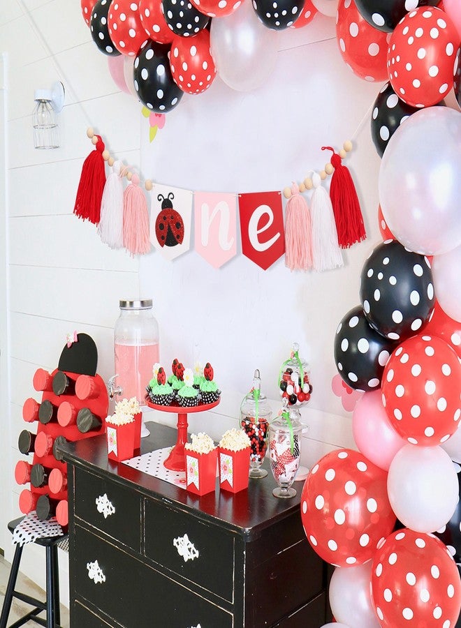 UOAOU Ladybug One High Chair Tassel Banner - Ladybug 1st Birthday Party Decorations, Insect Theme High Chair Banner, Pink Red White Tassel Birthday Decorations, Insect Photo Props Party Supplies - Image 5