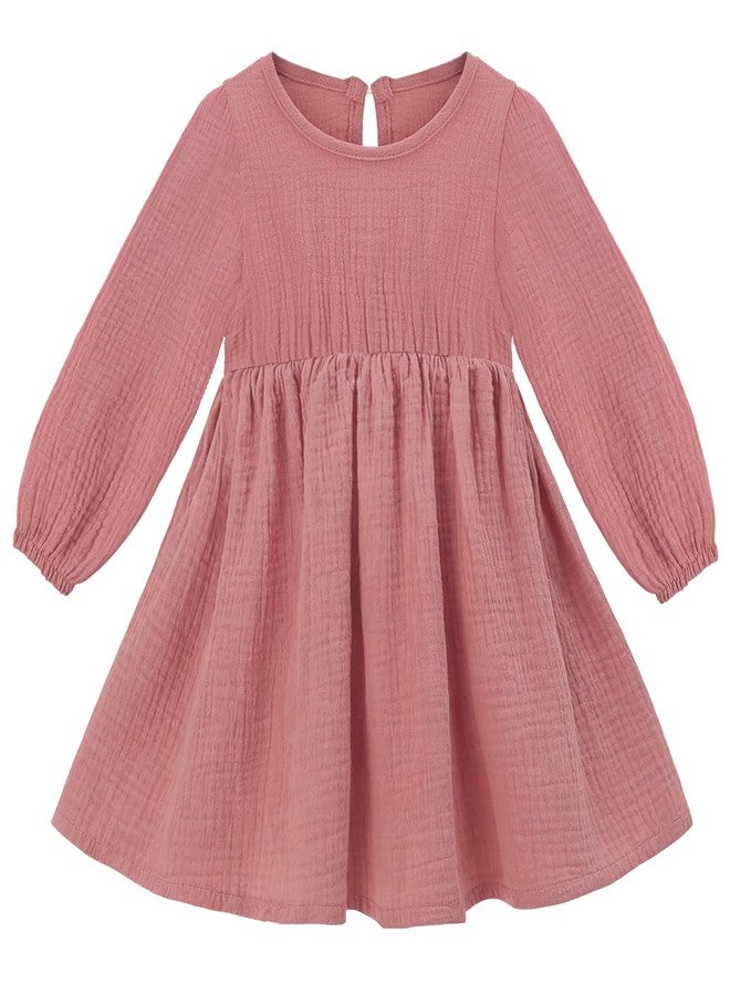 Beinou Toddler Fall Dress for Girls Long Sleeve Dress Baby Girls' Cotton Dresses Casual Spring Fall Outfits for Toddler, Pink, 2-3T - Image 1