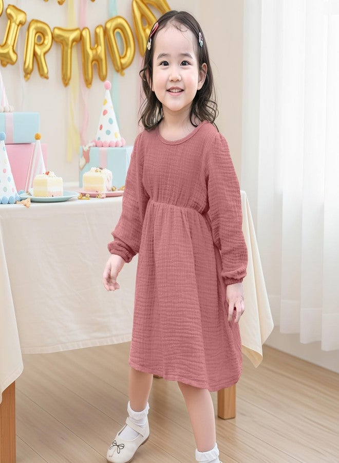 Beinou Toddler Fall Dress for Girls Long Sleeve Dress Baby Girls' Cotton Dresses Casual Spring Fall Outfits for Toddler, Pink, 2-3T - Image 2