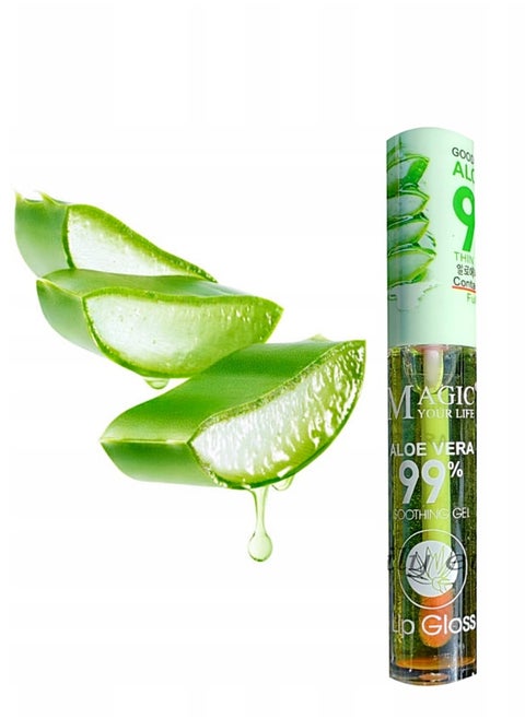 Non Stick Aloe Vera Lip Gloss Moisturizer Long Lasting And Hydrating