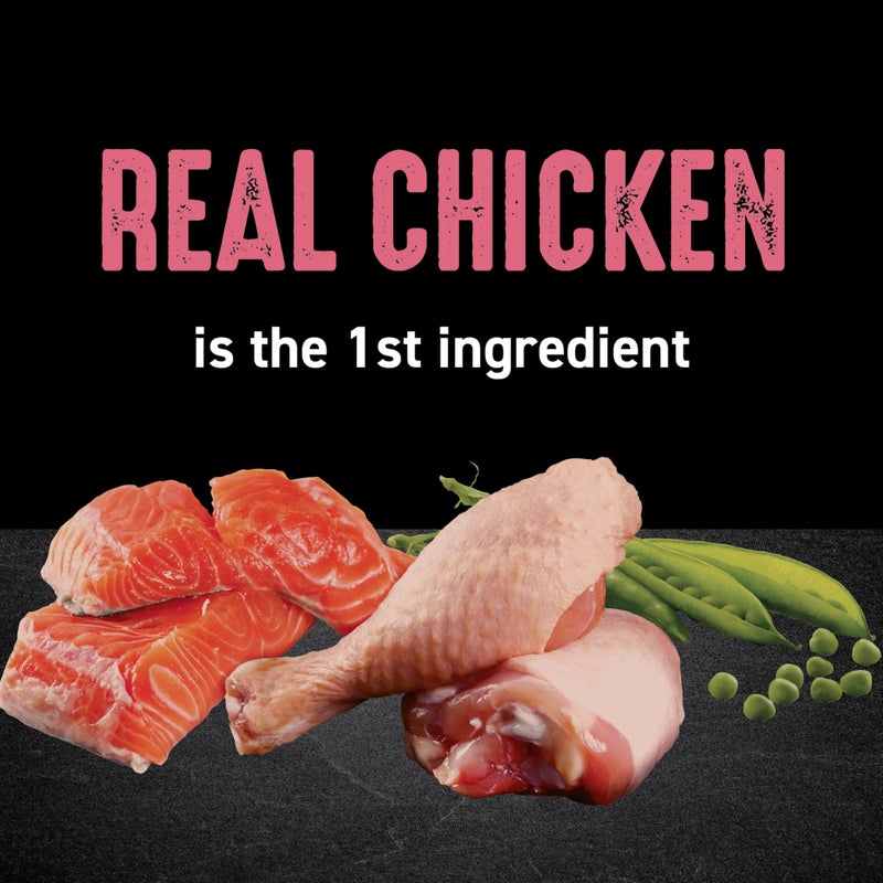 CRAVE Grain Free Indoor Adult High Protein Natural Dry Cat Food with Protein from Chicken & Salmon, 10 lb. Bag - Image 2