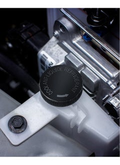 Topleo 2 PCS 21712-79900 Coolant Overflow Reservoir Cap Radiator Overflow Tank Lid Cover Compatible with Infiniti Nissan Murano Rogue Versa OEM 2171279900 21712-79900  - Image 2
