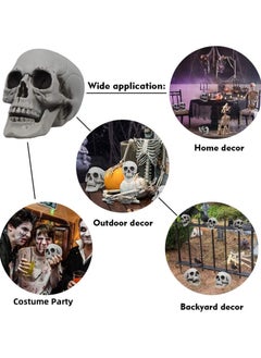 AUTOYSUR Festival Decoration Skull Skeleton Skull Head Realistic Looking Fake Skull Decor for Home Table Party Bar Decor Props Plastic (3pc)  - Image 5