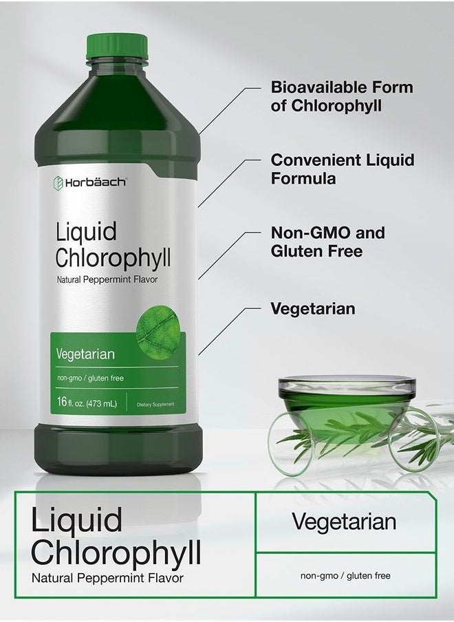 Horbäach - Chlorophyll Liquid Drops 100mg | 32 oz (2 x 16 oz Bottles) | Natural Peppermint Flavor | Vegetarian, Non-GMO, and Gluten Free Formula | by Horbaach - Image 1