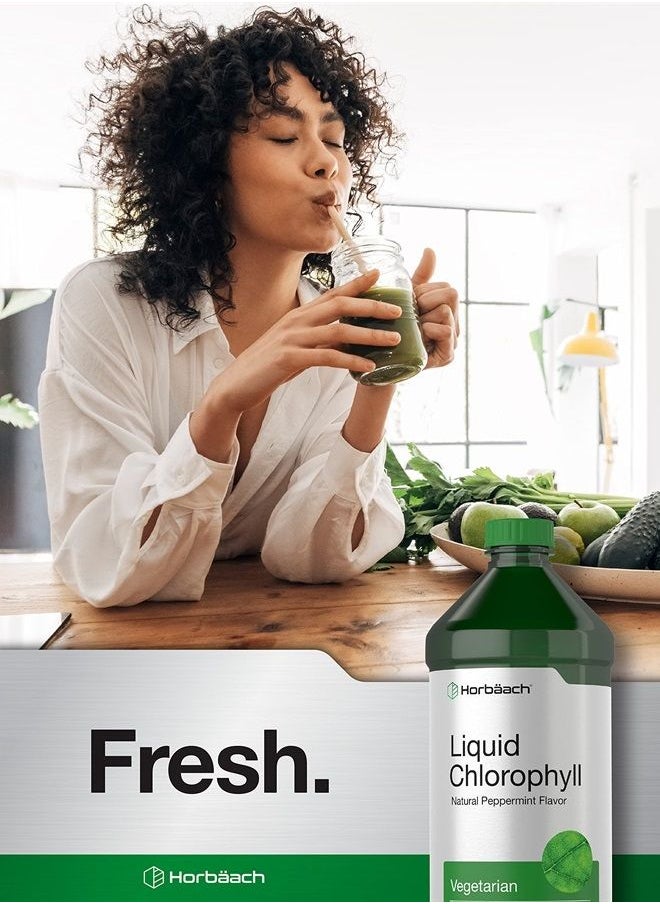 Horbäach - Chlorophyll Liquid Drops 100mg | 32 oz (2 x 16 oz Bottles) | Natural Peppermint Flavor | Vegetarian, Non-GMO, and Gluten Free Formula | by Horbaach - Image 1